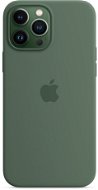 Apple iPhone 13 Pro Max Silikon Case - eukalyptusgrün - Handyhülle