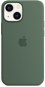 Apple MagSafe-rögzítésű iPhone 13 mini-szilikontok - eukaliptusz - Telefon tok