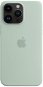 Handyhülle Apple iPhone 14 Pro Max Silikonhülle mit MagSafe - Succulent - Kryt na mobil