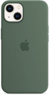Apple iPhone 13 Silikon Case mit MagSafe - eukalyptusgrün - Handyhülle