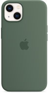Apple iPhone 13 Silicone Cover with MagSafe Eucalyptus Green - Phone Cover