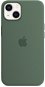 Apple iPhone 13 Silicone Cover with MagSafe Eucalyptus Green - Phone Cover