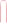 Strap Guava Pink