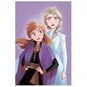 Jerry Fabrics Mikroflanelová deka Frozen Purple 05 100 × 150 cm - Deka