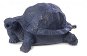 Pontec Water Spout Turtle - Záhradná dekorácia