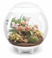 OASE biOrb AIR 60, white - Aquarium