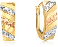 DIANTE Gold earrings 59638931 (Au 585/1000, 1,42 g) - Earrings