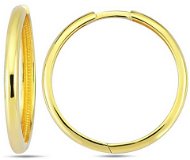 DIANTE Zlaté náušnice kruhy 59642358 (Au 585/1000, 2,55 g) - Náušnice
