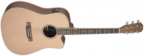 James Neligan ASY-DCE Dreadnought - Acoustic-Electric Guitar - Main image