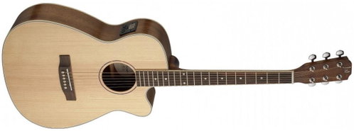James Neligan ASY-ACE Auditorium type - Acoustic-Electric Guitar - Main image