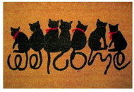 DuraHome Čisticí vstupní rohož PVC & kokos 40 × 60cm, Cat - Doormat