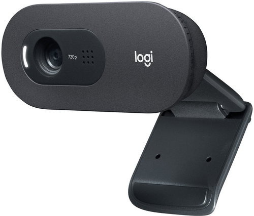 Logitech HD Webcam C505 - Webcam - Main image
