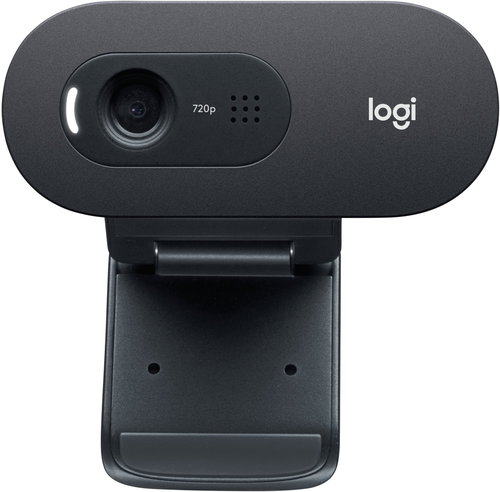 Logitech HD Webcam C505e - Webcam - Main image
