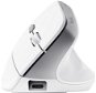 Trust BAYO II Ergonomic Wireless Mouse, biela - Myš