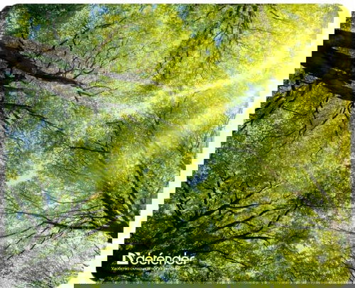 Defender Silk Pad Summer - Mouse Pad - Main image