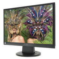 22" HANNSG Hi-221DPB - LCD Monitor