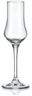 RONA Grappa spirit glasses 100 ml UNIVERSAL 6 pcs - Glass