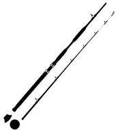 WFT - Fishing Rod Never Crack Bank Cat 2.7m 200-1000g - Fishing Rod