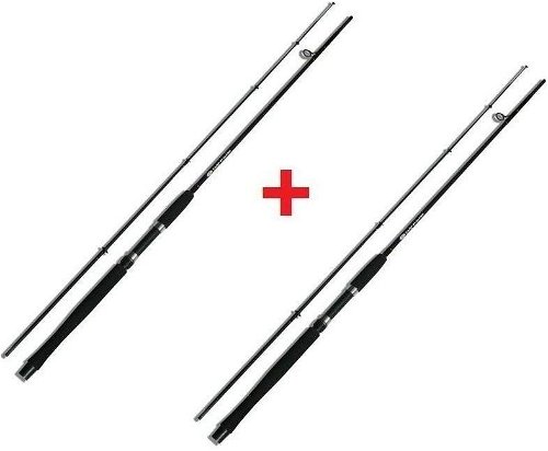 NGT Carp Stalker Rod 8ft 2,4m 2lb SPECIAL OFFER 1+1 FREE from 34.90 € - Fishing  Rod 1+1
