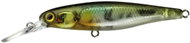 Illex Squirrel SP 6.1cm 4.5g NF Ayu - Wobbler