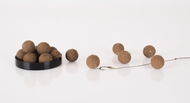 Nash Scopex Squid Hard Ons 15 mm 125 g - Boilies