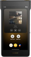 Sony NW-WM1AM3 black - MP4 Player