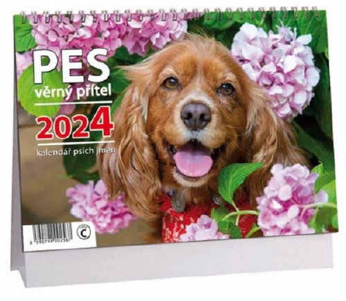Aria-Cards Calendar Dog - faithful friend 2024 - Desk Calendar - Main image