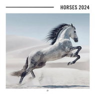 Horses - calendar 2024 - Wall Calendar