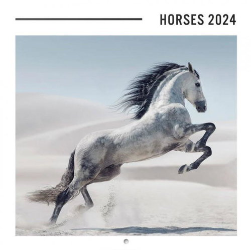 Horses - calendar 2024 - Wall Calendar - Main image