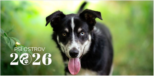 Psí ostrov Centre Charity calendar 2026 - Desk Calendar - Main image