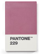 PANTONE Pouzdro na vizitky dárkové balení - Aubergine 229 - Vizitkář