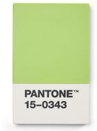 PANTONE Pouzdro na vizitky dárkové balení - Green 15-0343 - Vizitkář