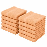 Kaptan 10dílná sada dětských ručníků Ekonom 40 × 60 cm, meruňková - Towel Set