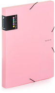Karton P+P PP box with rubber A4 PASTELINI pink - Document Folder