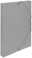 Karton P+P Lines A4 - PP box with rubber - Document Folder