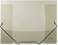 Karton P+P Lines transparent with rubber - Document Folder