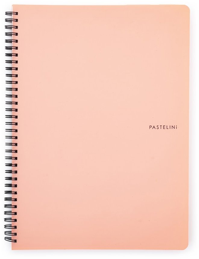Karton P+P Pastelini Twin wire A4 PP barack