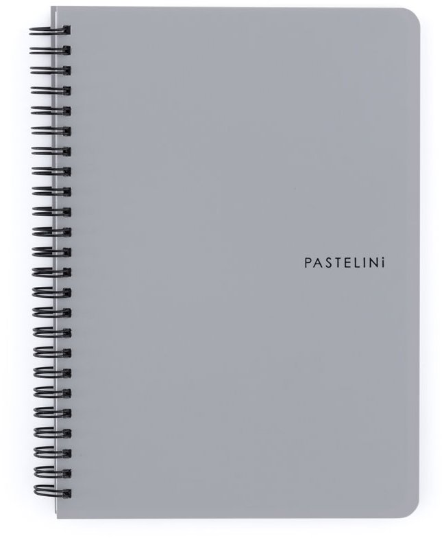 KARTON P+P Pastelini Pastelini Twin wire A5 PP szürke