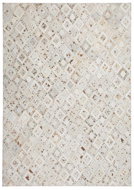 Kusový koberec Spark 110 slonová kost / Chrom 80 x 150 cm - Koberec