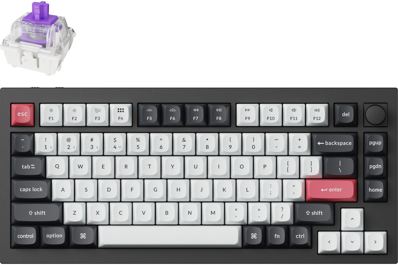 Keychron Q1 HE Swappable RGB Backlight Nebula Switch Knob Version - Black, US