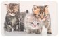 Kesper Dekoratív deszka, kiscicák, 23,5×14 cm - Vágódeszka