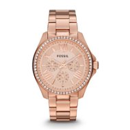FOSSIL CECILE AM4483 - Women's Watch