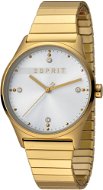 ESPRIT VinRose Silver Gold Matt 2990 - Dámske hodinky