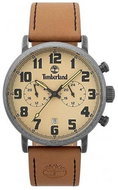 TIMBERLAND model RICHDALE TBL15405JSQS07 - Men's Watch
