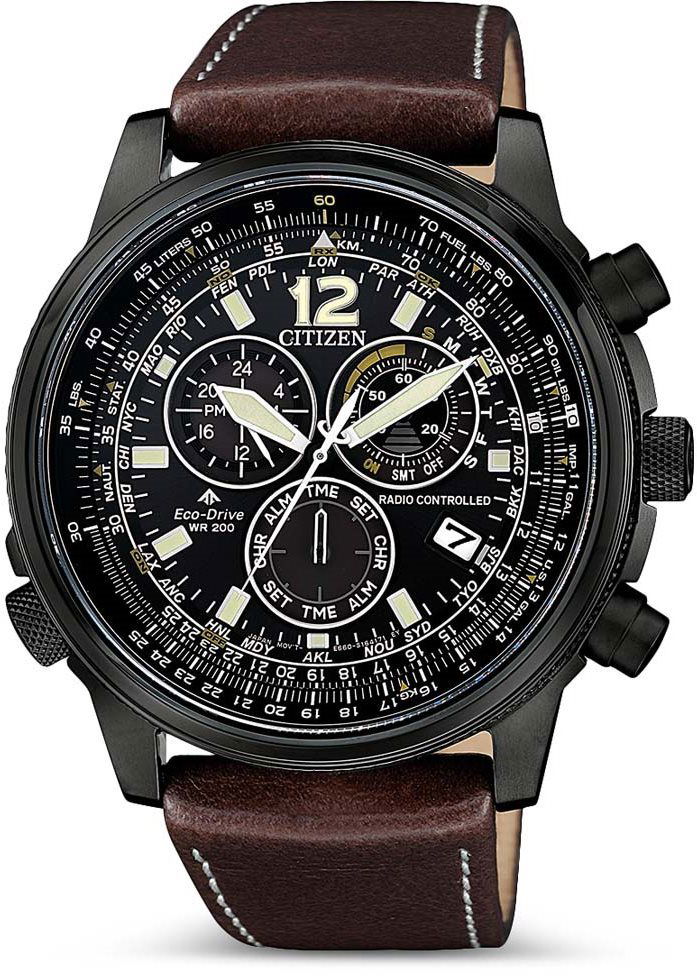 Promaster 2024 pilot citizen