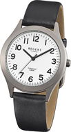 REGENT Pánské hodinky Titan F-842 - Men's Watch