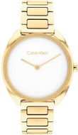 CALVIN KLEIN ADORN 25200276 - Dámské hodinky