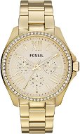  Fossil AM4482  - Women's Watch