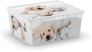 KIS C-Box Puppy & Kitten M 18l - Storage Box