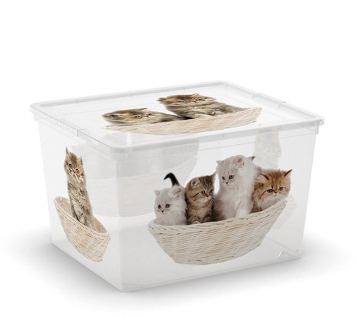 KIS C-Box Puppy & Kitten Cube 27l - Storage Box - Main image